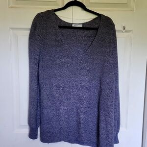 Reitman's Women's Blue Heathered V-Neck Sweater - Size  2x